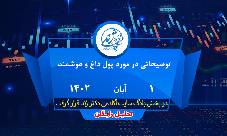 توضیحاتی در مورد پول داغ و هوشمند